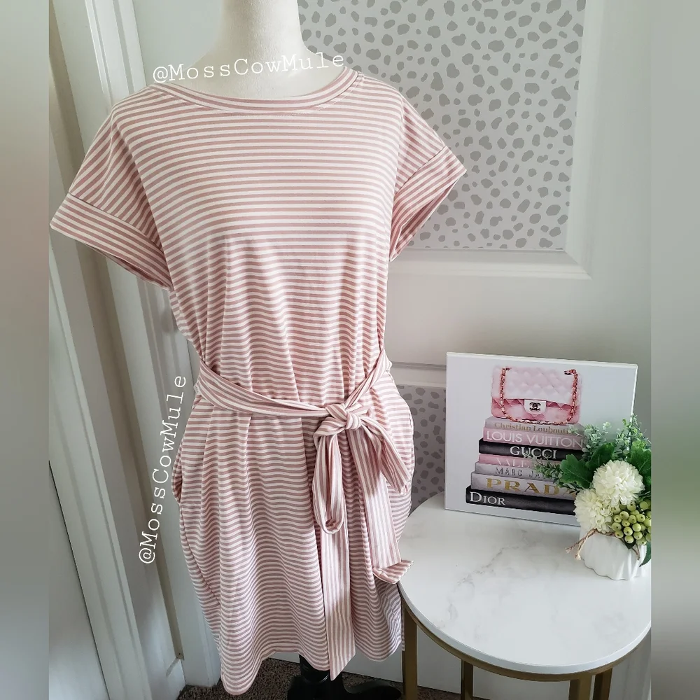 Pink and White Striped Tie Dress - Picture 1 of 6